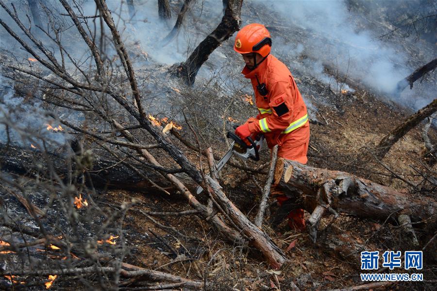 ���ɹŴ��˰���������ش�ɭ�ֻ����˾�ȡ�þ�����ʤ��